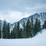 Bhubaneswar to Shimla Chail Kufri