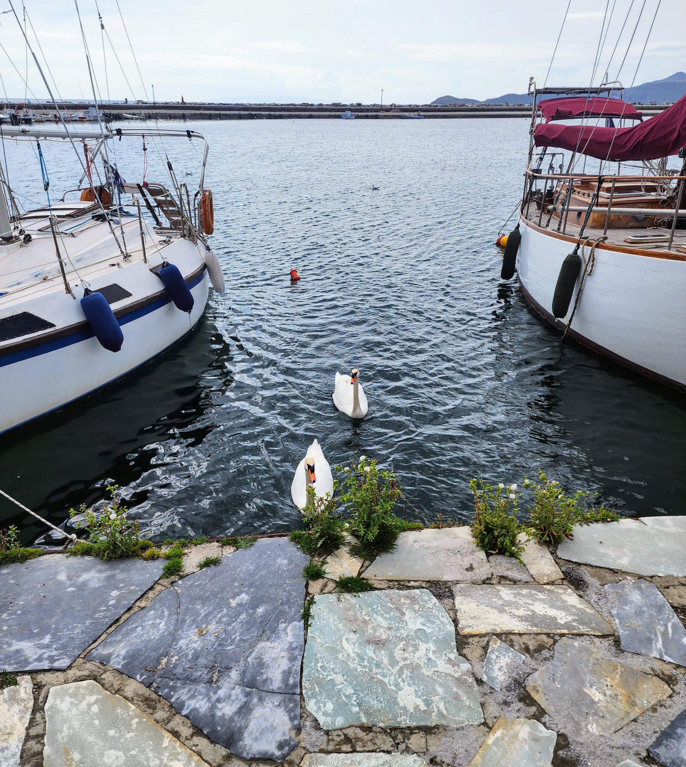 Buy a House in Greece