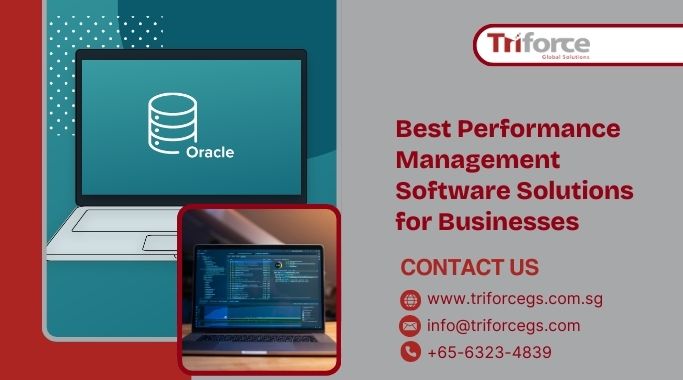 Best Performance Management Software Solutions for Businesses