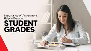 student assignment help