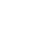 custom software development company